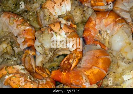 Fried giant river prawn (Macrobrachium rosenbergii), Indo-Pacific Stock Photo