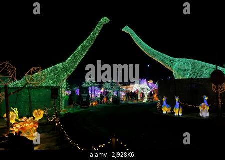Illuminated dinosaur figures, Illumi Light Show, Laval, Montreal, Province of Quebec, Canada Stock Photo