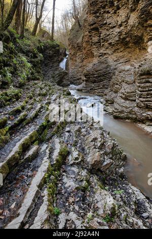 Waterfall in a forest, Adygeya, Russia Stock Photo