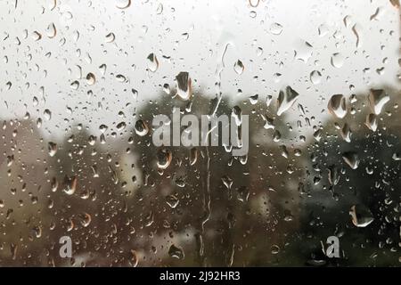 31.07.2019, Berlin, , Germany - Raindrops on a window pane. 00S190731D118CAROEX.JPG [MODEL RELEASE: NO, PROPERTY RELEASE: NO (c) caro images / Sorge, Stock Photo