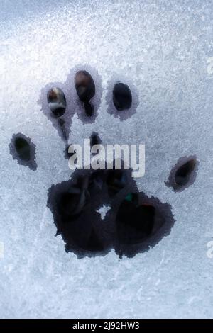 21.01.2020, Berlin, , Germany - Handprint on a frozen window pane. 00S200121D489CAROEX.JPG [MODEL RELEASE: NO, PROPERTY RELEASE: NO (c) caro images / Stock Photo