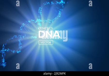 DNA vector background biology molecule science gene. Biotechnology genetic chemistry scientific concept Stock Vector