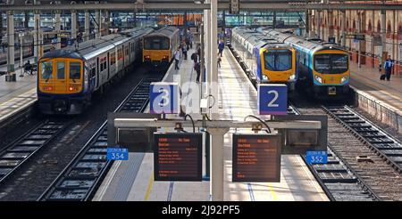 Northern & Trans-Pennine Express DMU & EMU at Piccadilly NPR train station platforms 1-4, public transport rail services from Manchester Stock Photo