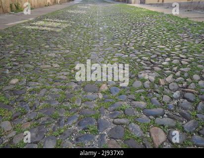 grey cobblestone floor useful as a background Stock Photo