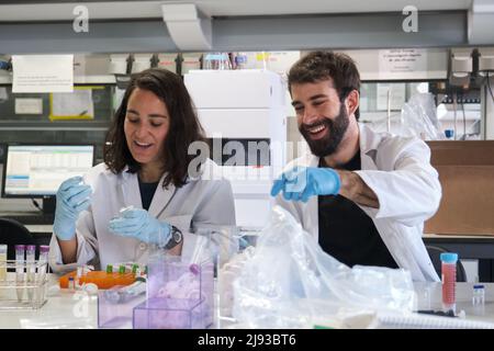 Two young phD students working in a real laboratory. Stock Photo