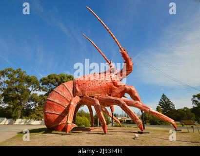 Larry the Lobster is one of Australia's big things that dot the highways of the country in a quirky cultural phenomenon in Kingston South Australia Stock Photo