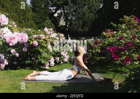 side view of happy woman practicing yoga in cobra pose on lawn near laptop Stock Photo