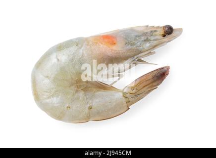 Grey raw shrimp prawn isolated on white with head Stock Photo