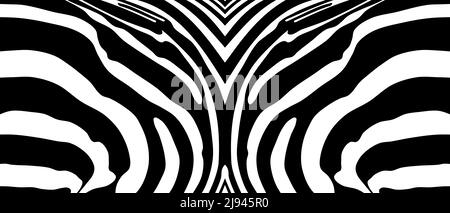 Zebra pattern using as panorama background, vector illustration Stock ...