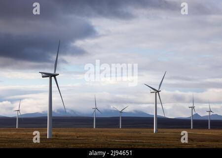 A wind farm at Sibster Burn, Halkirk, Caithness, Scotland, UK Stock Photo