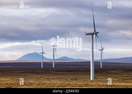 A wind farm at Sibster Burn, Halkirk, Caithness, Scotland, UK Stock Photo