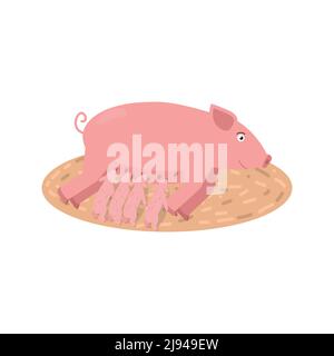 Vector illustration of a pig feeding piglets isolated on a white background. Stock Vector