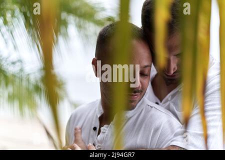 Gayl couple cuddling tenderly in the leaves of a tropical tree Stock Photo