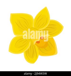 Single yellow daffodil closeup, bright illustration Stock Vector