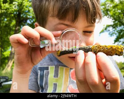 A boy outdoors in a park looking at a small green caterpillar with a magnifying glass. A little boy studying an insect with a magnifying glass. A chil Stock Photo