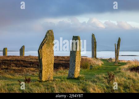 The Ring of Brodgar at dawn, Mainland, Orkney Isles, Scotland, UK Stock Photo