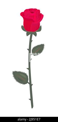 Single detailed red rose with stem and leaves Stock Vector