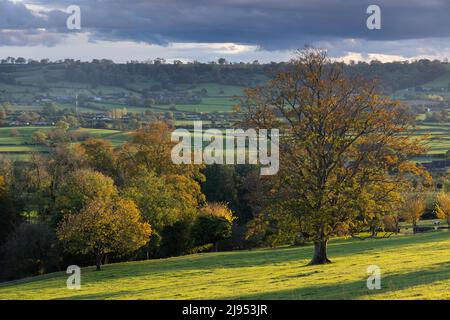 Autumn colours Pilton, Somerset, England, UK Stock Photo