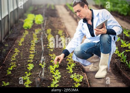 Portrait of handsome agricultural researcher holding tablet while working on research at plantation in industrial greenhouse Stock Photo