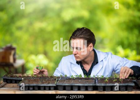 Portrait of handsome agricultural researcher working on research at plantation in industrial greenhouse Stock Photo