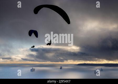 Paragliders flying over the cruise ships anchored in Weymouth Bay, with Portland beyond, Dorset, England, UK Stock Photo