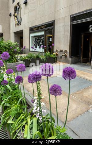 Progress, Intaglio Carving, 1 Rockefeller Center, NYC  2022 Stock Photo