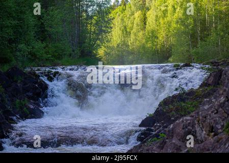 Upper threshold of Kivach waterfall in June evening. Karelia, Russia Stock Photo