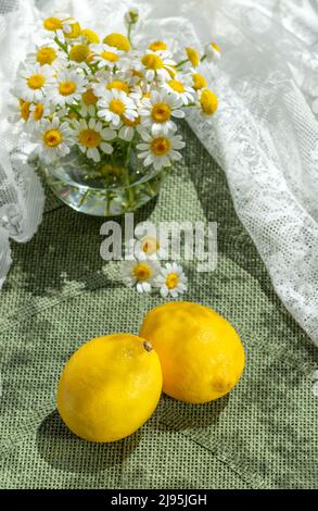 Daisy fresh wild flowers in glass jar, whole lemons, on green placemat. Summer still life scene with wild daisy chamomile flowers with white tulle Stock Photo