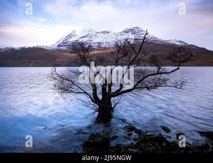 Slioch towering over Loch Maree in winter, Wester Ross, Scotland, UK Stock Photo