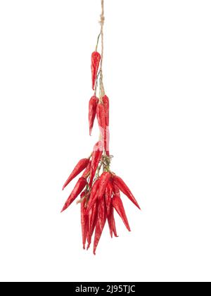 Dried chillies hanging on white background Stock Photo