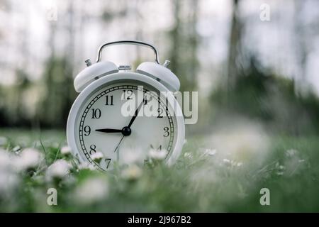 White alarm clock in grass with daisy flowers. Spring season change and time concept Stock Photo