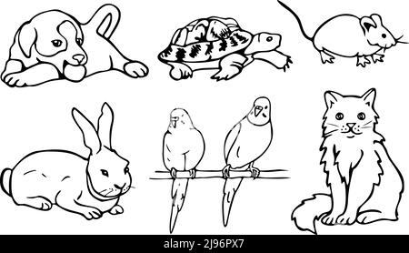 Vector illustration with collection of pets. Cat, dog, parrots, mouse, rabbit and turtle. Design for coloring book. Stock Vector