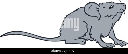 Vector illustration of hand drawn mouse. Mouse colored and depicted by a line. Stock Vector