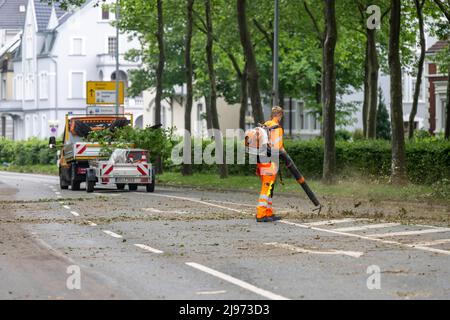 Lippstadt, Germany. 21st May, 2022. A worker clears the roadway of leaves and branches. One day after the tornado, cleanup work has begun in the city center. Credit: David Inderlied/dpa/Alamy Live News Stock Photo