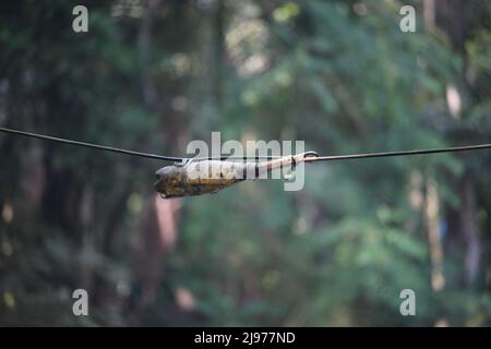 The cable divider of the internet line has been connected. Plastic bottles have been provided so that rain water cannot enter. Stock Photo