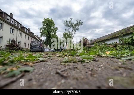 Lippstadt, Germany. 21st May, 2022. View of a street with the remains of fallen trees. One day after the tornado, cleanup work has begun in the city center. Credit: David Inderlied/dpa/Alamy Live News Stock Photo