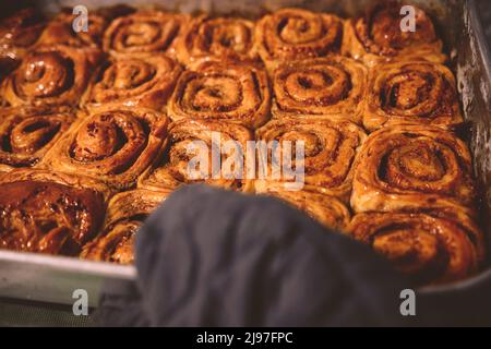 Cinnamon rolls with cheese baked and ready to eat. Golfeados typical dessert in Venezuela. Stock Photo