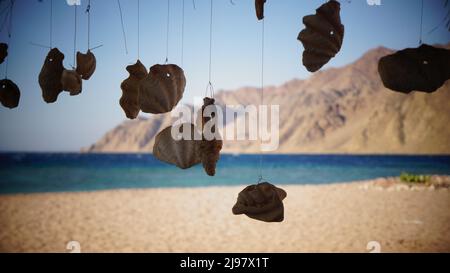 Beautiful seashells hanging on ropes against the backdrop of the beach and mountains. Stock Photo