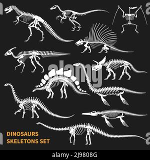 Dinosaurs skeletons isolated icons set on blackboard background in chalkboard style hand drawn vector illustration Stock Vector
