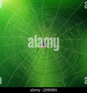 Brightly lit green realistic background with spider weaving its sophisticated web 3d vector illustration Stock Vector