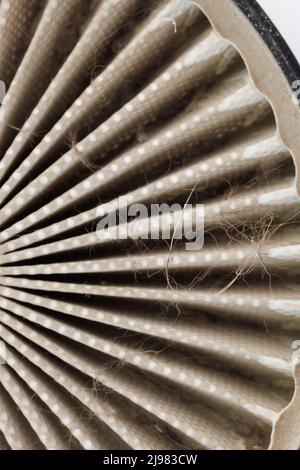 dust, hairs and fur on radial HEPA filter, close-up with selective focus Stock Photo