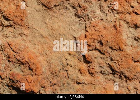 Dry old metal rusty background. Corrosion, rusted. Stock Photo