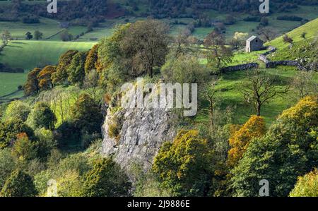 Autumn at Aldery Cliff Stock Photo