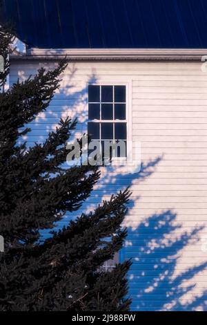 Amish house with spruce and shadows in central Michigan, USA [No property release; editorial licensing only] Stock Photo