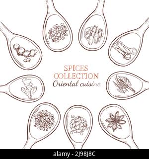 Sketch spices and herbs round concept with food seasonings and condiments on spoons isolated vector illustration Stock Vector
