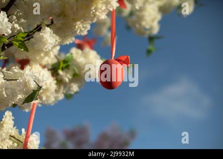 Easter eggs hang from tree. Decoration for holiday. Eggs on ribbons hang from tree. Spring background. Stock Photo