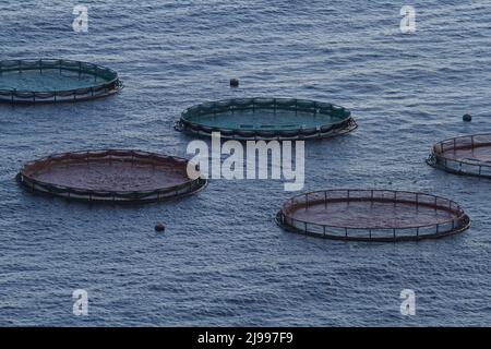 Fish farms in the open sea for breeding fish and other marine animals, near the island of Madeira in the Atlantic Ocean Stock Photo