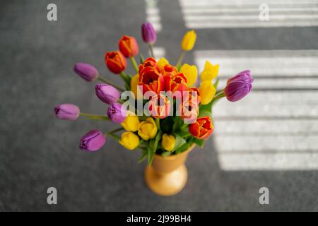 Shallow focus on a red tulip flower in a vase of red, yellow and purple tulips. There is the shadow of window blinds behind the bouquet Stock Photo
