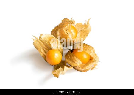 Group of physalis berries isolated on white background. Three orange physalis fruits open and closed different shape  Stock Photo
