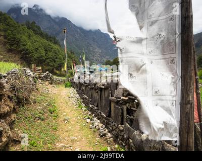 Mani stones and prrayer flags at entrance to Thulo Gumela village above Rangding, Khumbu Stock Photo
